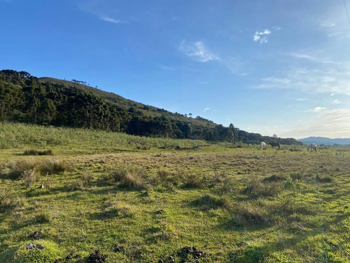 Fazenda de 132 Hectares para Investidores em Urubici, no Coração da Serra Catarinense — foto 1