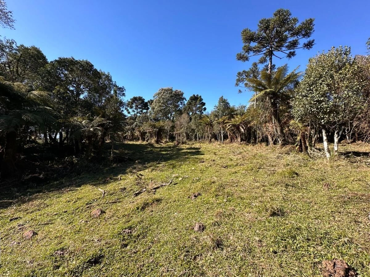 Terreno Espetacular de 4.1 Hectares com Vista para a Serra em Funil — foto 1