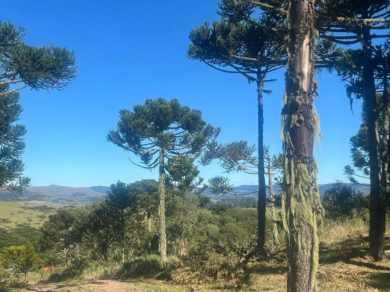 Terreno Amplo de 44.000m² com Açude em Bom Sucesso — foto 1