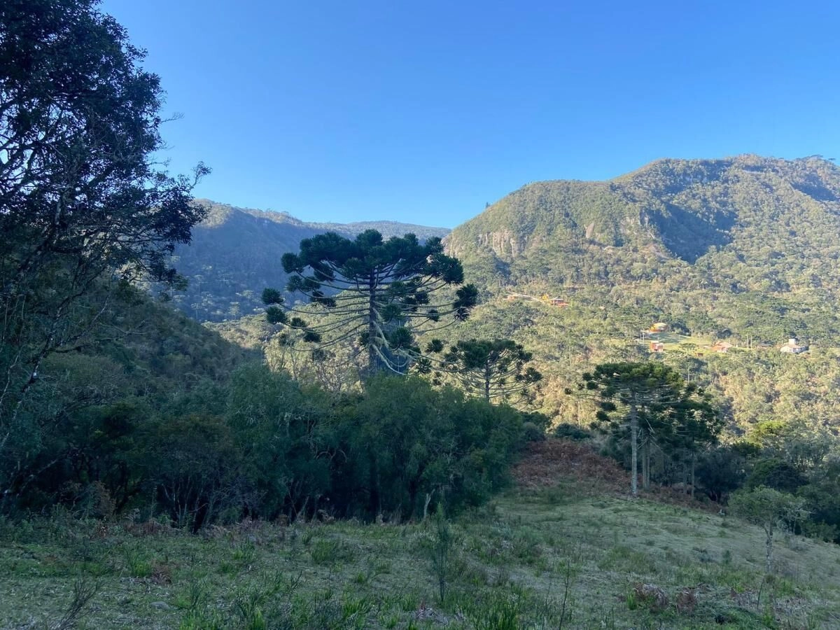 Chácara de 2 Hectares com Vista Sensacional em Rio dos Bugres – Urubici — foto 1