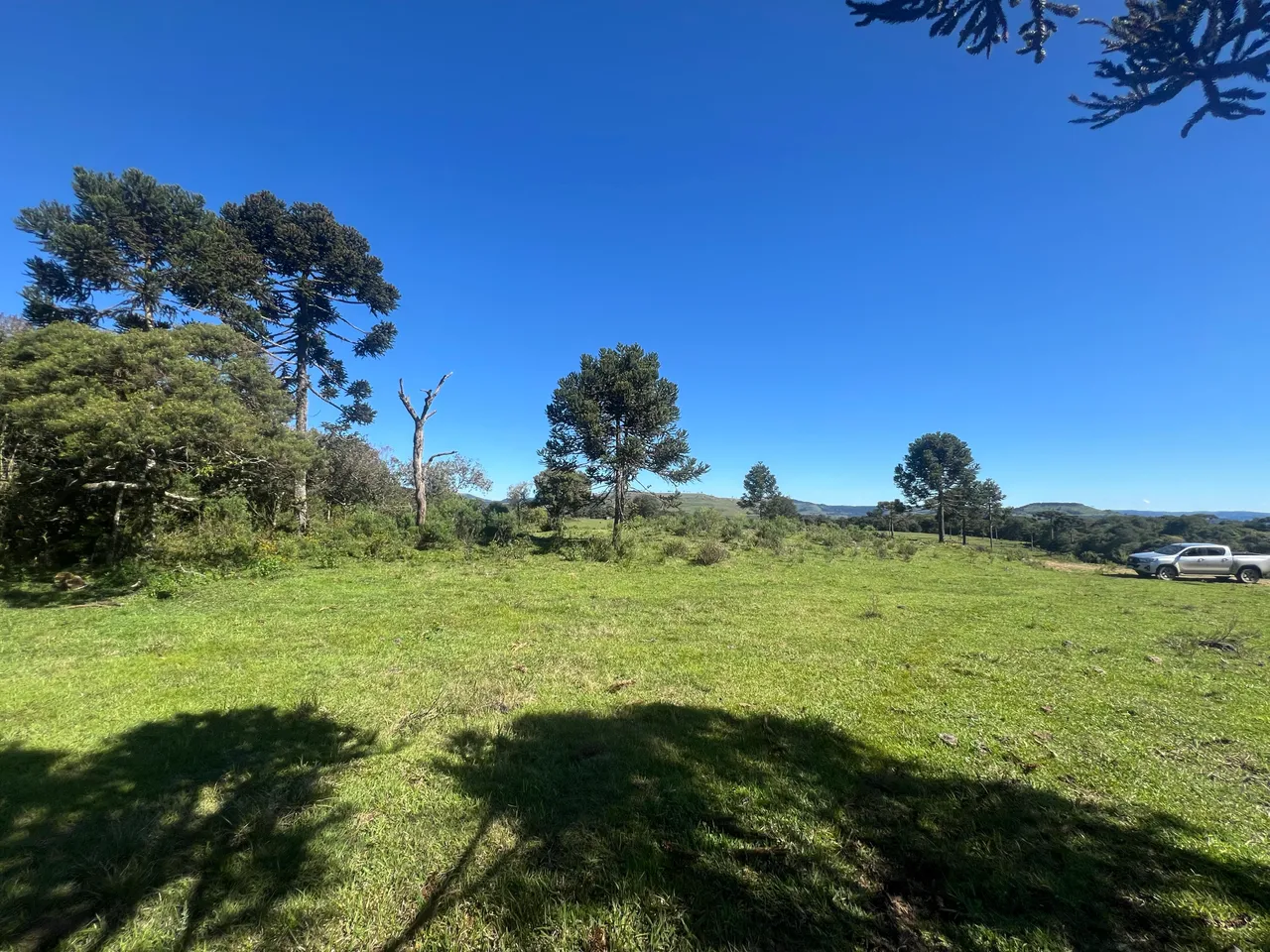 Sítio de 20.000m² em Urubici – Jararaca: Área Plana, Córrego e 1.480m de Altitude — foto 1