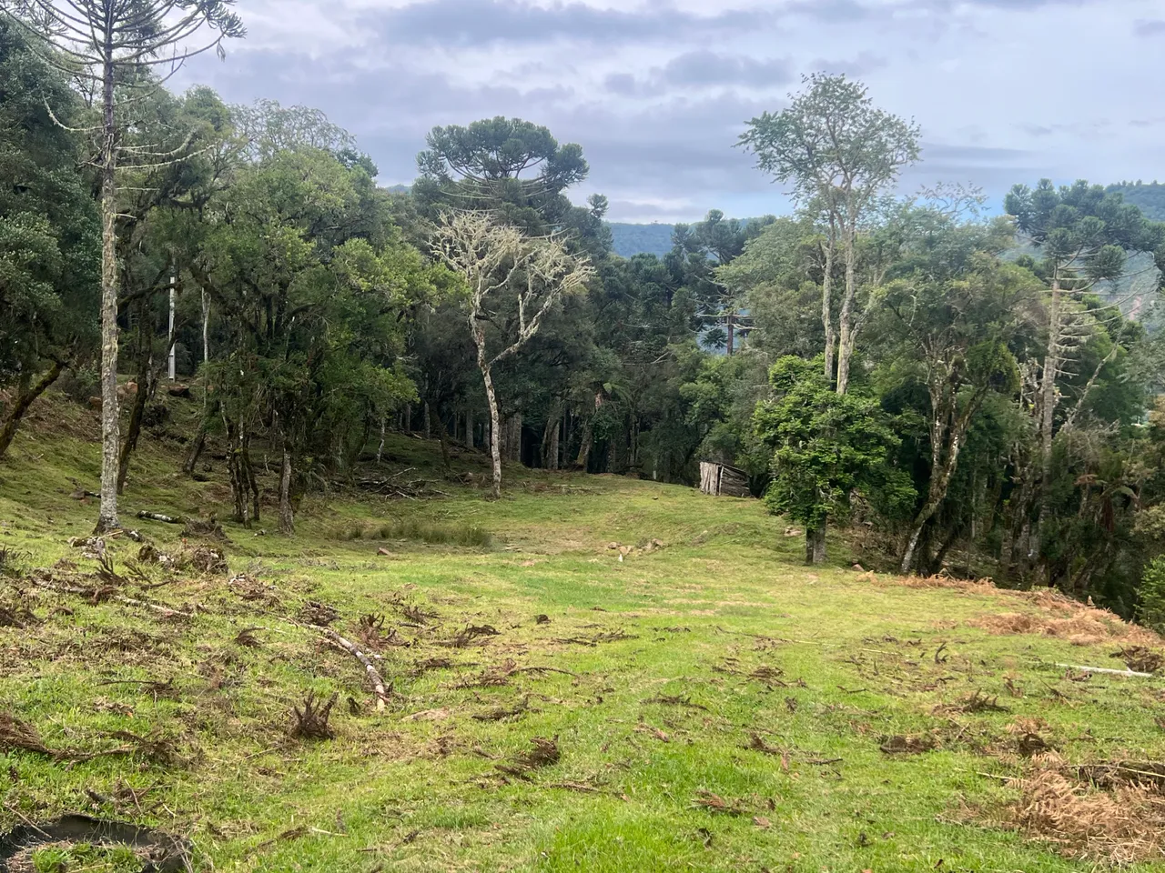 Terreno de 20.000m² em Urubici com Vista Espetacular – Rio dos Bugres — foto 1