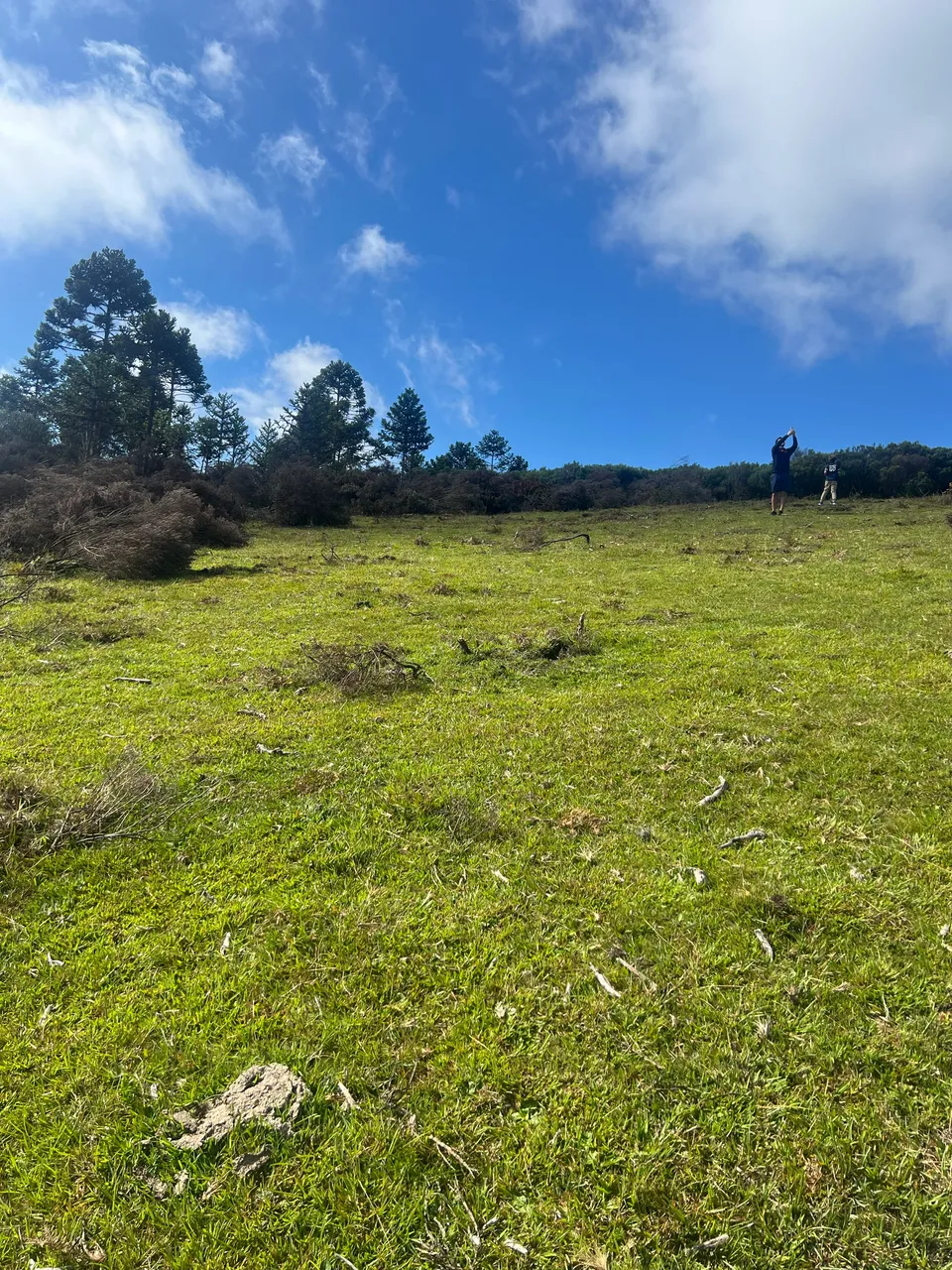 Terreno em Urubici na Montanha – 1.600m de Altitude e Vista Espetacular — foto 1