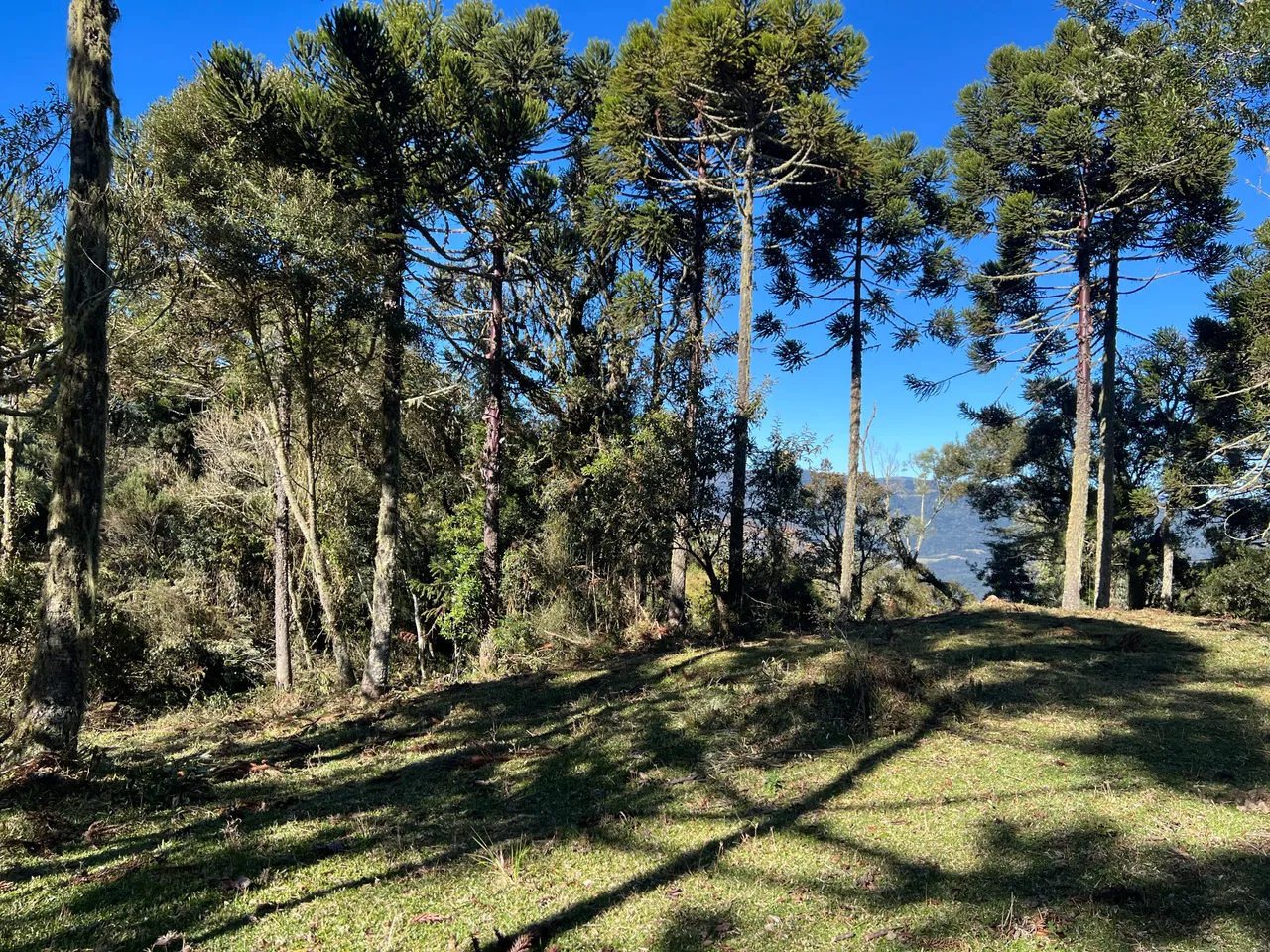 Terreno de 20.000m² em Urubici com Vista para a Cidade e Montanhas – Rio dos Bugres — foto 1